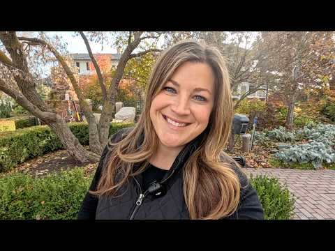 Видео: Замена самшита, добавление амариллиса и установка готового почтового домика! 🪴😍🏠