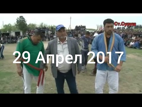 Видео: Кураш Чорбог  29 04 2017