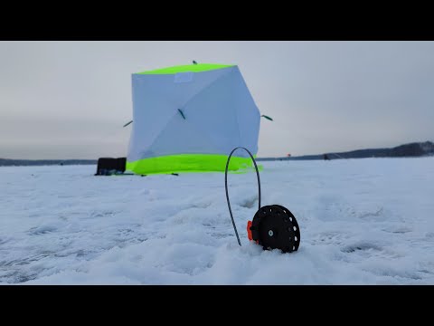 Видео: Эту рыбалку я запомню на долго! Два дня на Можайском водохранилище!