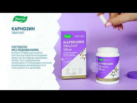 Видео: Карнозин Эвалар
