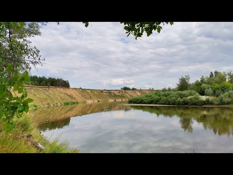 Видео: Выходной день на реке Хопёр, рыбалка на сазана ожидание и реальность