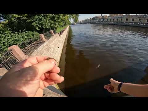 Видео: рыбалка СПБ 2025