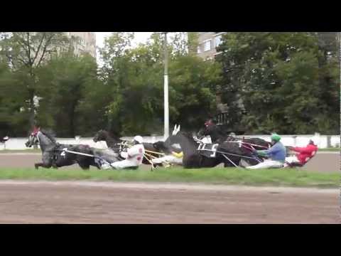 Видео: ЦМИ.Ипподром. Мемориал Бутовича.