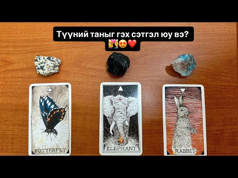 Видео: Түүний таныг гэх сэтгэл юу вэ? 👩‍❤️‍👨😍❤️ | Тарот мэргэ 🔮