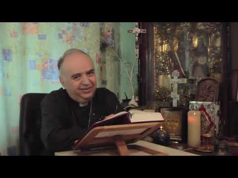 Видео: Вершинин ВВ 13102024 Послание Титу 2 гл