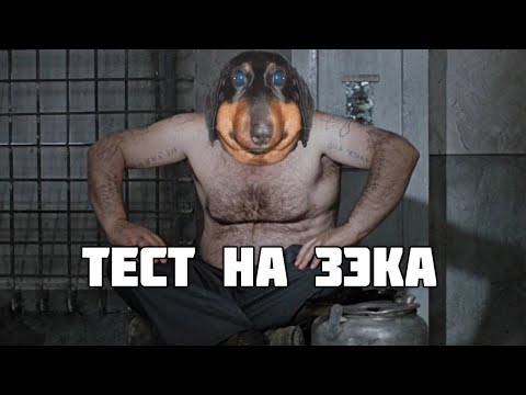 Видео: Dawg проходит ТЕСТ НА ЗЕКА