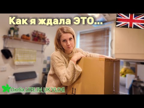 Видео: 😍 Как я ждала эту покупку! Lidl удивил новинками 🎄 + Покрасила волосы дома | Влог Англия 🇬🇧