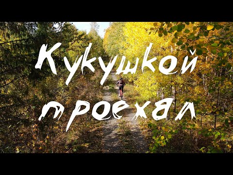 Видео: Висимо-Уткинская узкоколейная железная дорога