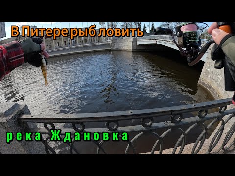Видео: В Питере рыб ловить. Весенняя рыбалка на микроджиг на реке Ждановка
