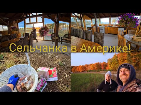 Видео: ТАКОЙ ОСЕНИ  🍂 В МИЧИГАНЕ Я НЕ ПОМНЮ ! САЖАЮ ТЮЛЬПАНЫ И ПРЯЧУ ВСЁ НА ЗИМУ !