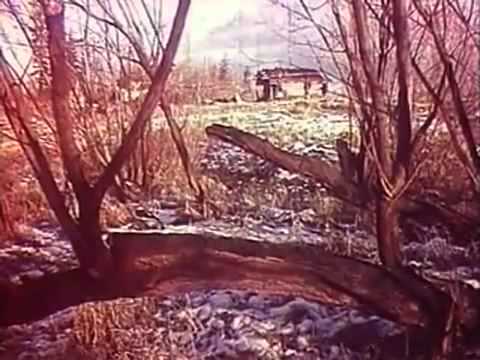 Видео: Охотники документальный фильм, 1972 год