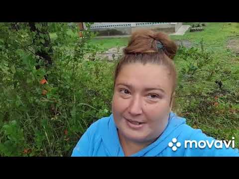 Видео: Машина 🚗 В Овраге😇🙄Я НА Званный Обед 😋🤪🥰💋💋💋