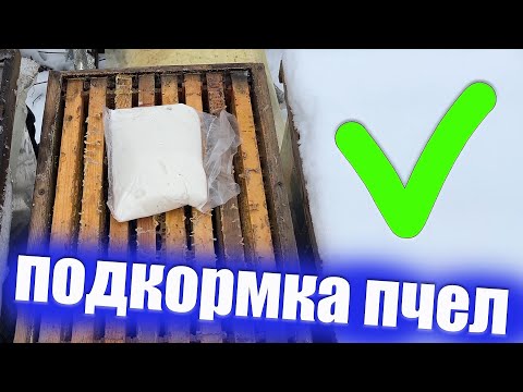Видео: подкормка пчел канди зимой