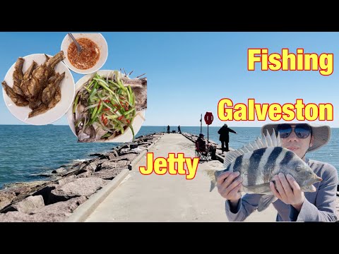 Видео: Рыбалка в Хэллоуин — Catch-N-Cook | Галвестон, Техас