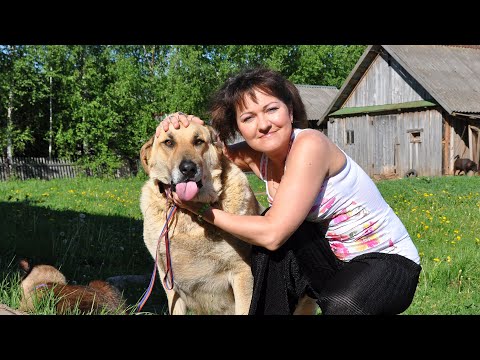 Видео: Как Порадовать Внутреннего Ребенка (Ностальгия по Настоящему)