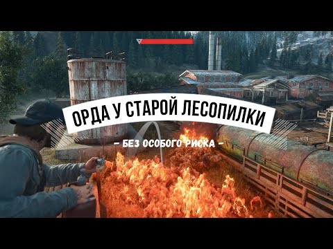 Видео: DAYS GONE Орда у старой лесопилки - Без особого риска (плюс странный баг)