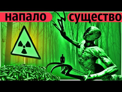 Видео: В Радиоактивном лесу нашли горы патронов и систему подземных тоннелей !