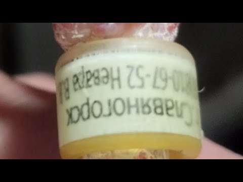 Видео: Мои николаевские голуби 🕊️(в память о Невара В. , молочные,поясатые)