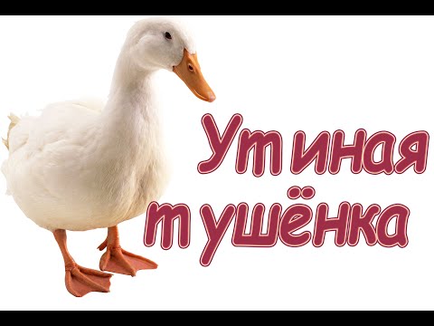 Видео: Утиная тушенка. Вкусная домашняя тушенка из утки.