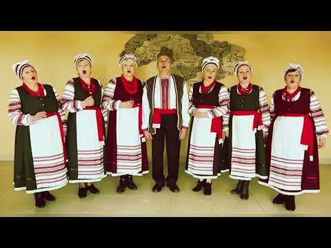 Видео: Ансамбль "Криниченька"