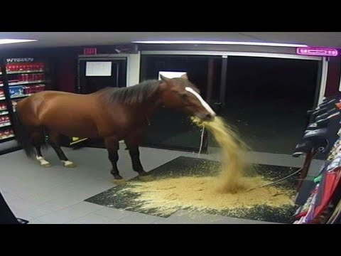 Видео: Абсурдные мемы, которые я нашел в минимаркете