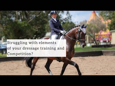 Видео: Испытываете трудности с элементами выездки и дрессировки? Тренируйте рейнбек вместе с нами.