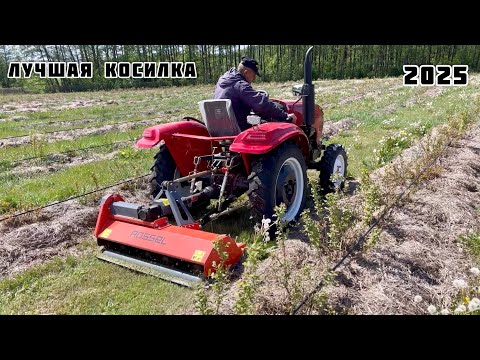 Видео: Лучшая КОСИЛКА 2025  Мульчер от Rossel , это шедевр !!! Rossel 244 Голубика 🫐 покос садов