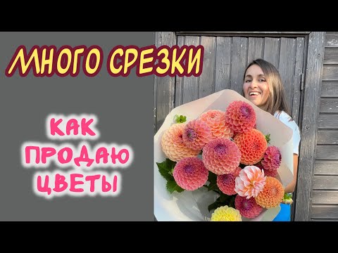 Видео: ЦВЕТОЧНЫЕ ЗАКАЗЫ. Фотосессия и лавандовый котик #милыйдом