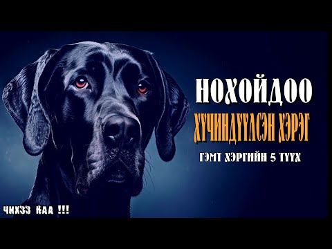 Видео: [ Нохойдоо Хүчиндүүлсэн Гэх Жинхэнэ Худлаа Түүх ]  Гэмт хэргийн 5 түүх.