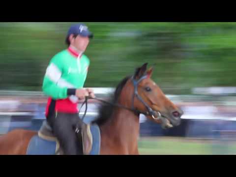 Видео: Абхазия. Уникальные конно-спортивные игры.