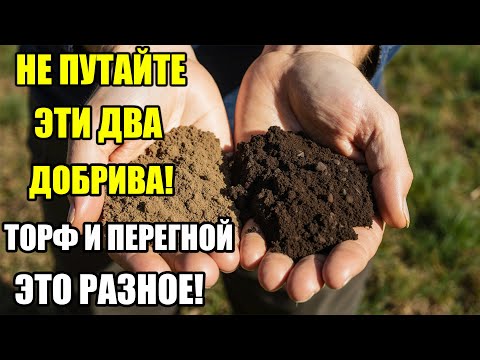 Видео: НЕ ПУТАЙТЕ! ТОРФ и ПЕРЕГНОЙ — ЭТО РАЗНОЕ! Что действительно даёт урожай, а что просто забивает почву