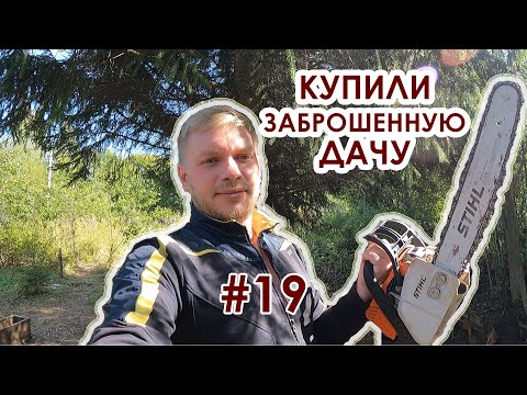 Видео: Купили заброшенную дачу #19 серия. Расчистка участка с бензопилой. День первый.