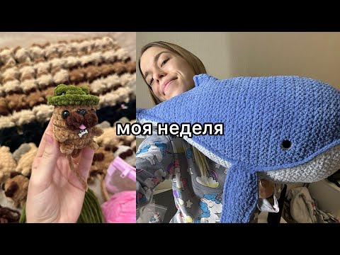 Видео: Выпустила МК | Связала много мопсов | Жалуюсь