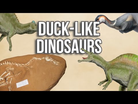 Видео: Странные утиные динозавры