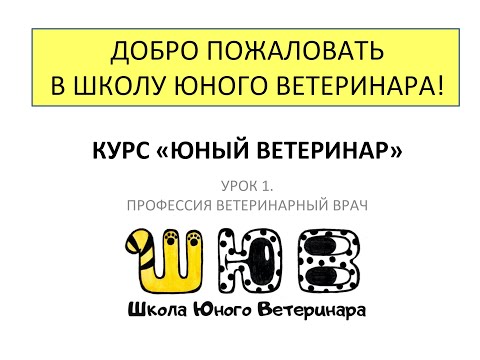 Видео: Урок 1  Профессия ветеринарный врач