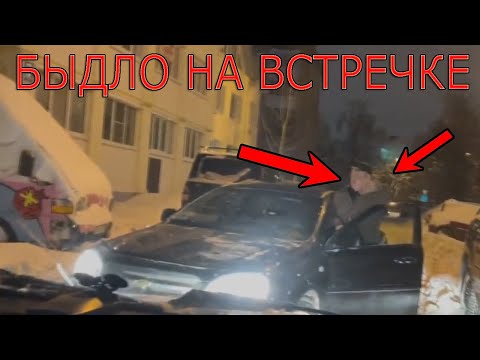 Видео: Подборка лютого быдла на дороге | Быдло на встречке #45