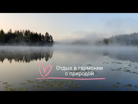 Видео: Отдых за городом- отличная возможность сменить обстановку, насладиться тишиной и красотой!