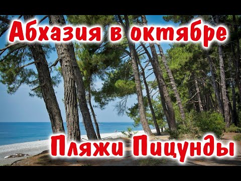 Видео: Абхазия в октябре. Где лучше отдохнуть в Пицунде? Пляжи и цены. Пос.Рыбзавод.Бесплатные фрукты.