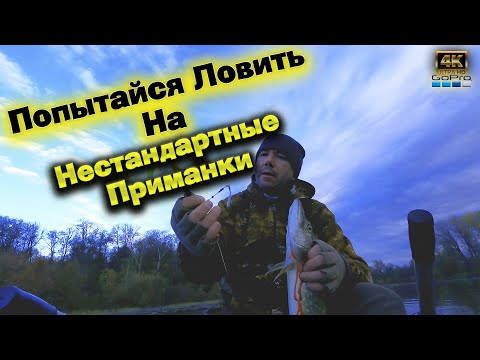 Видео: Рыбалка на озере ❗Ловля на спиннинг осенью ❗Спиннербейт ❗