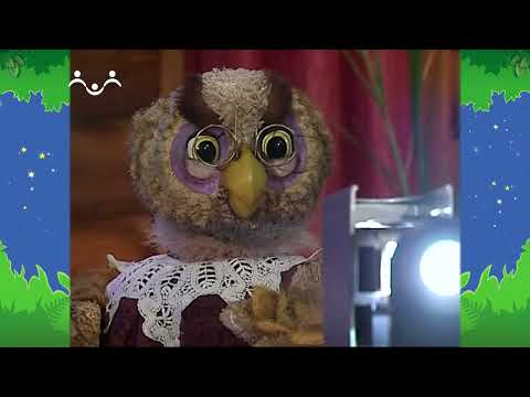 Видео: Вечер в Шишкином Лесу. Открытия Совы. Птицы