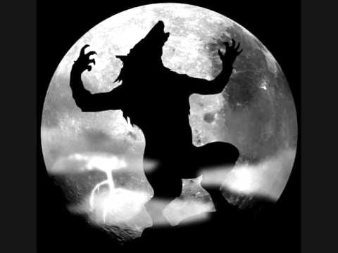 Видео: оборотень волк