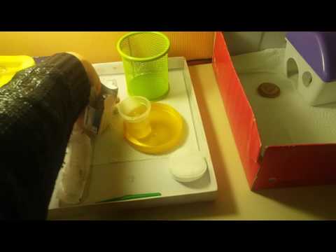 Видео: Если джунгарский хомяк заболел ! Лечение хомяка!