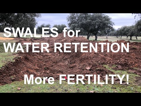 Видео: КАНАТНЫЕ ПОЧВЫ для УДЕРЖАНИЯ ВОДЫ: БОЛЬШЕ ПЛОДОРОДИЯ