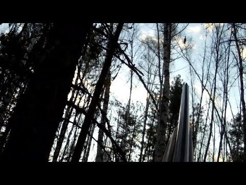 Видео: ОХОТА НА ГЛУХАРЯ НА ТОКУ. ВОТ ЭТО ТОК, КРУГОМ ГЛУХАРИ!!!