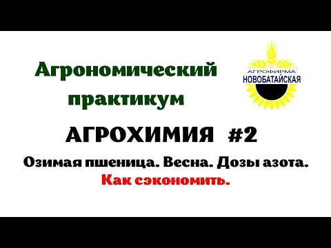 Видео: Озимая пшеница. Весна. Дозы азота. Как сэкономить.