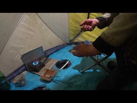 Видео: Рипус клюёт, увильды открытие 2020-2021