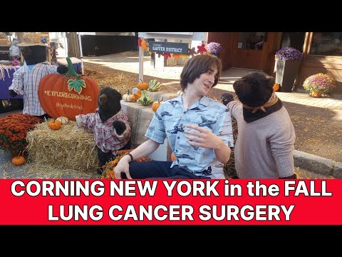 Видео: #125 ВРАЧ ПО РАКУ ЛЕГКИХ, МАЛЕНЬКИЙ ДОМИК СНАРУЖИ И МИШ-МАША ИЗ РОЧЕСТЕРА, КОРНИНГ посещает