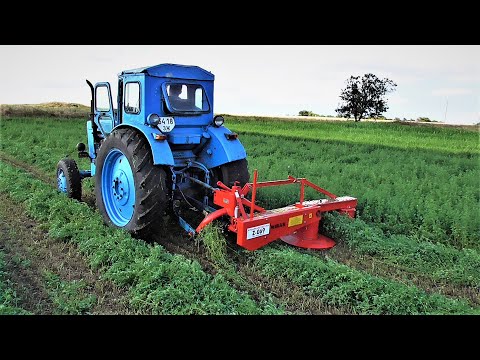 Видео: СЕНОКОС Роторной Косой WIRAX 1,65м и Трактором Т - 40АМ ! ПОКОС ЛЮЦЕРНЫ !