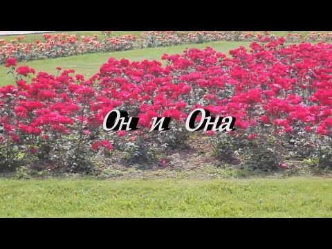 Видео: Он и Она