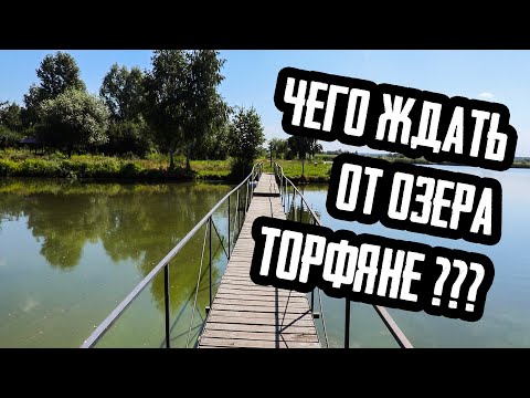 Видео: Обзор озера "Торфяне". Проверяем где проводят соревнования! thefish.